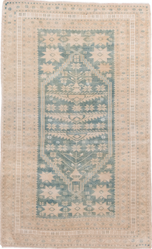 Antique Anatol Area Rug (3' x 5')